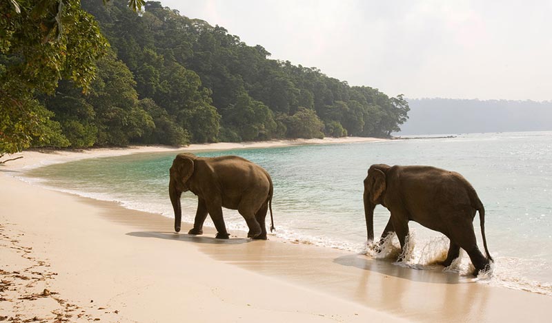 Andaman And Nicobar Islands  Paradise For Beach Lovers