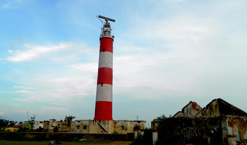 Chilika  A Paradise For Bird Watchers