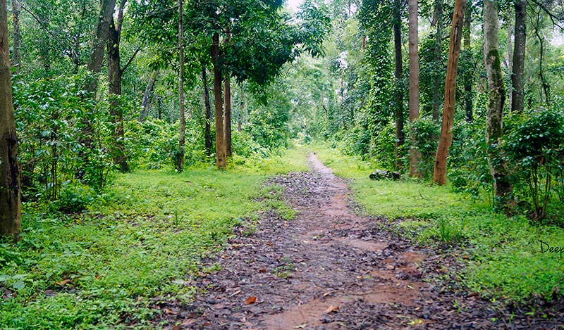 Daringbari The Hill Station Of Odisha