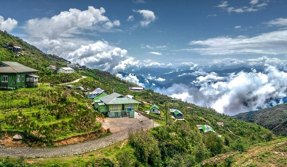 Darjeeling  A Paradise For Tea Lovers