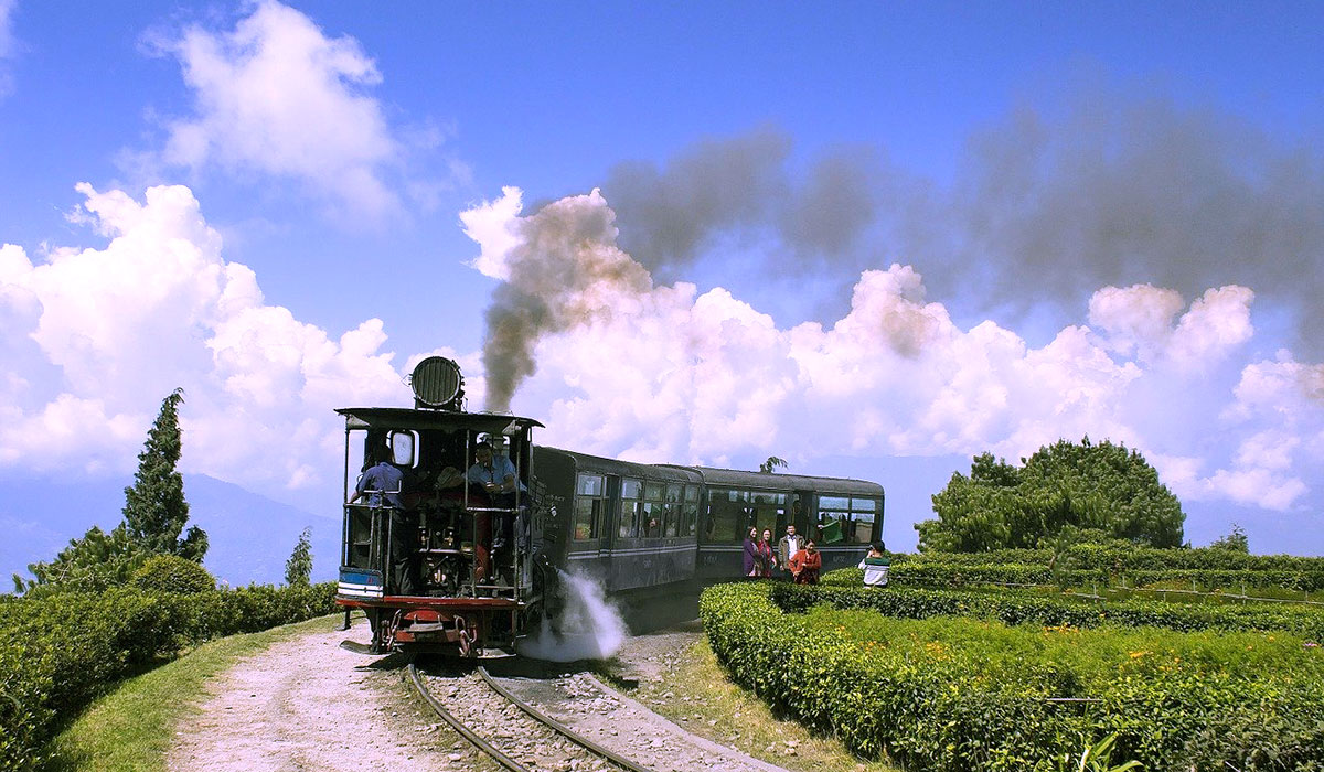 Darjeeling  A Paradise For Tea Lovers