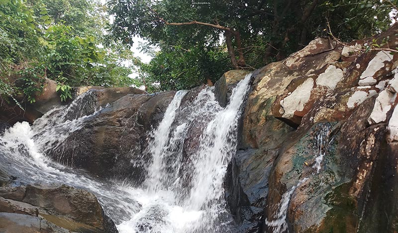 Jhargram Greenery All The Way