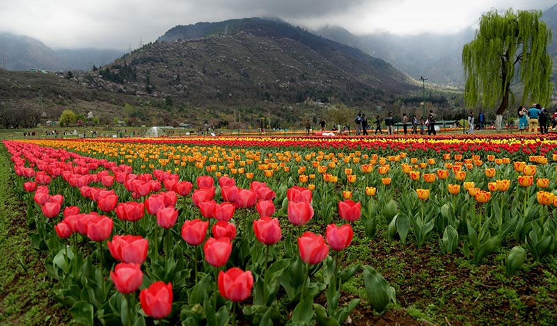 Kashmir Paradise On The Earth