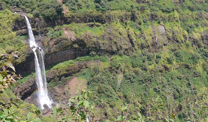 Mahabaleshwar  The Land Of Strawberries