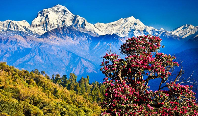 Nepal A Hub For Adventure Lovers