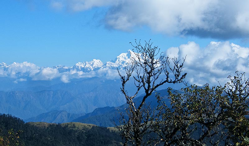 Sandakphu A Trekkers Paradise