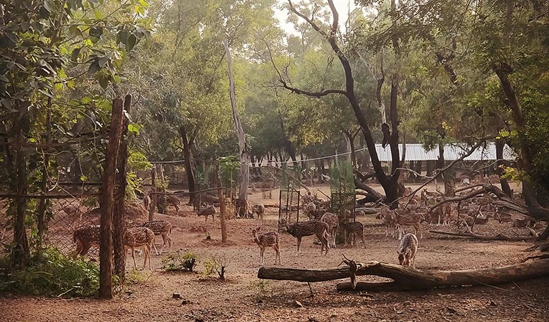 Shantiniketan Rabindranath Tagores Eternal Abode