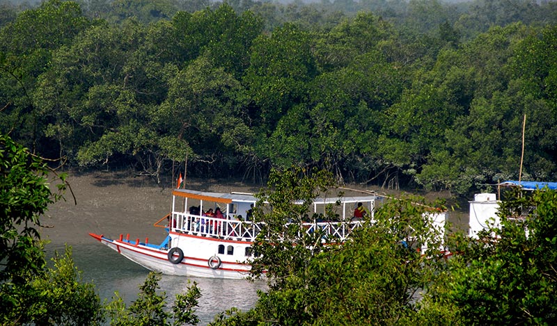 Sunderban  Home Of Royal Bengal Tiger